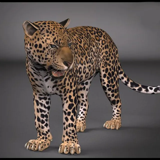 Leopard free Maya rig by Truong Rigs
