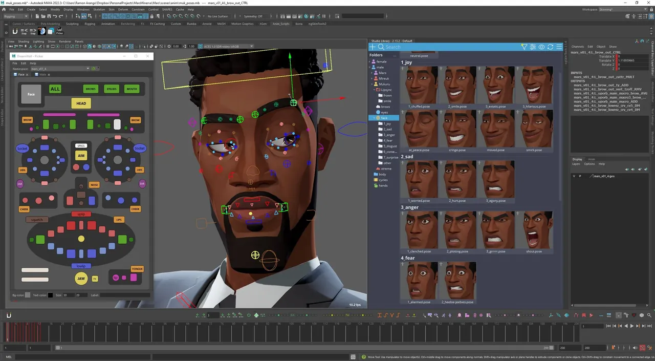 Rig picker and pose library workspace